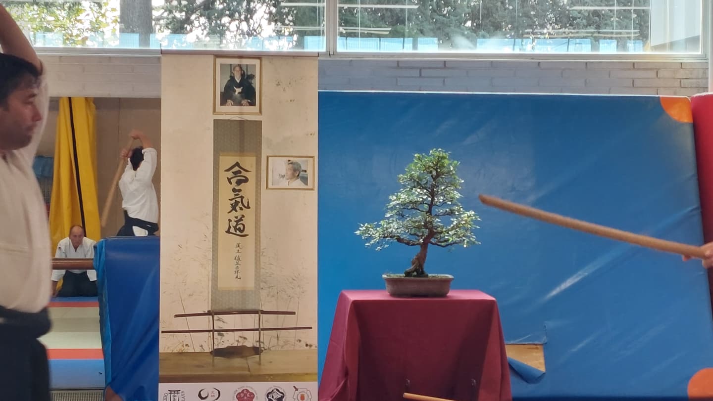 Curso Nacional de Aikido con Shu kitaura. Pamplona 19-10-24